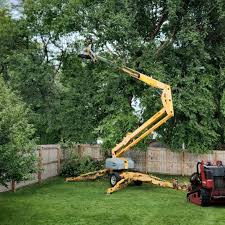 Best Tree Mulching  in Biglerville, PA